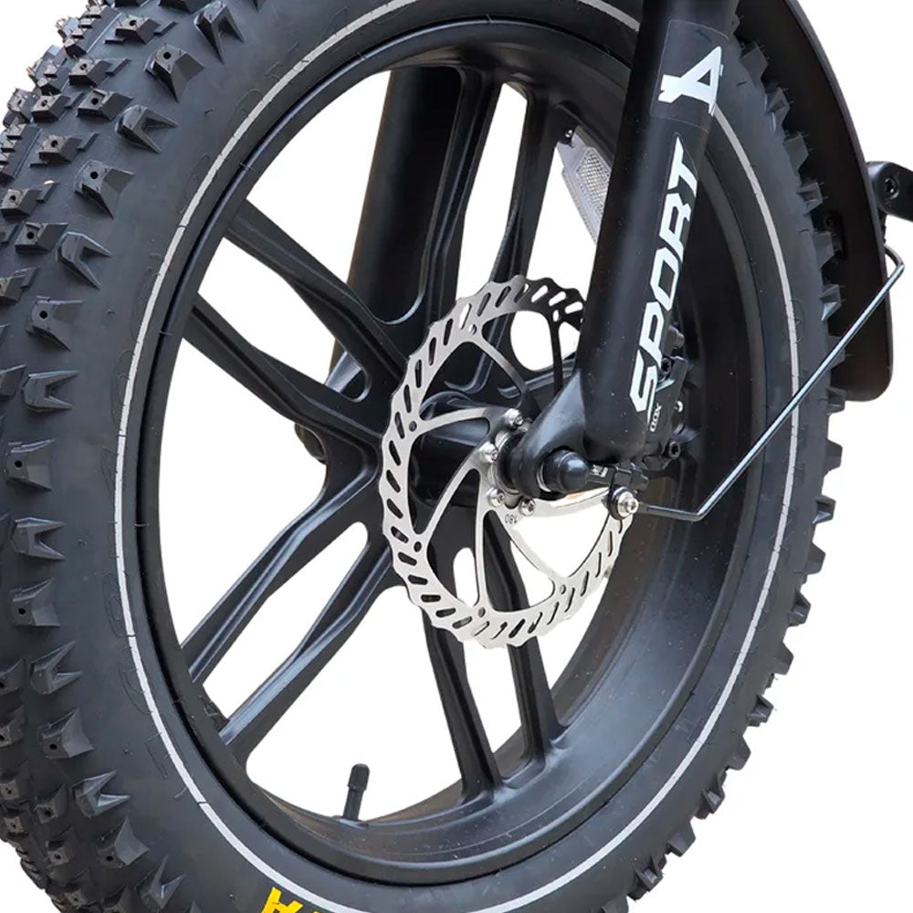 Allegro TDL6125 Dual