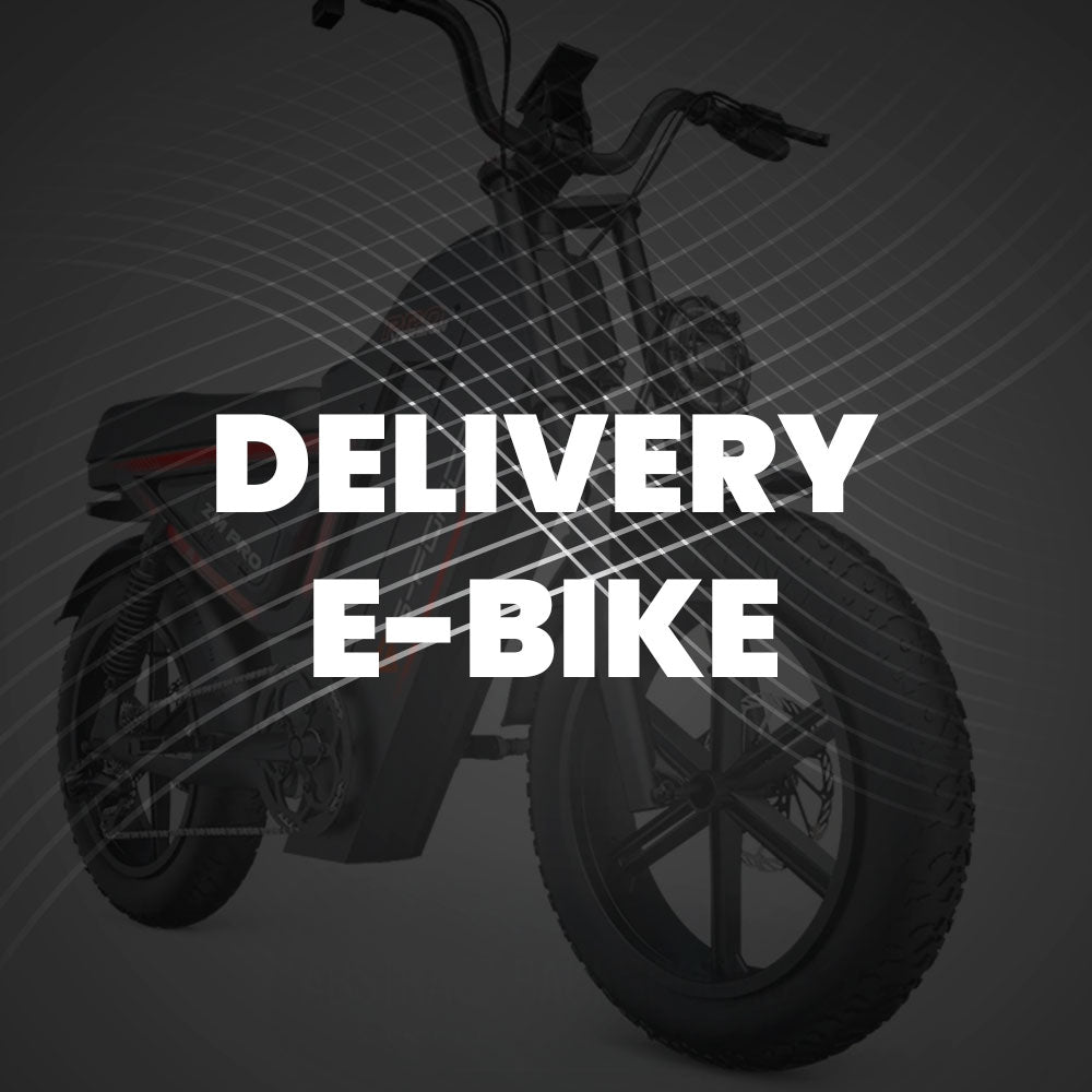 Delivery E-Bike