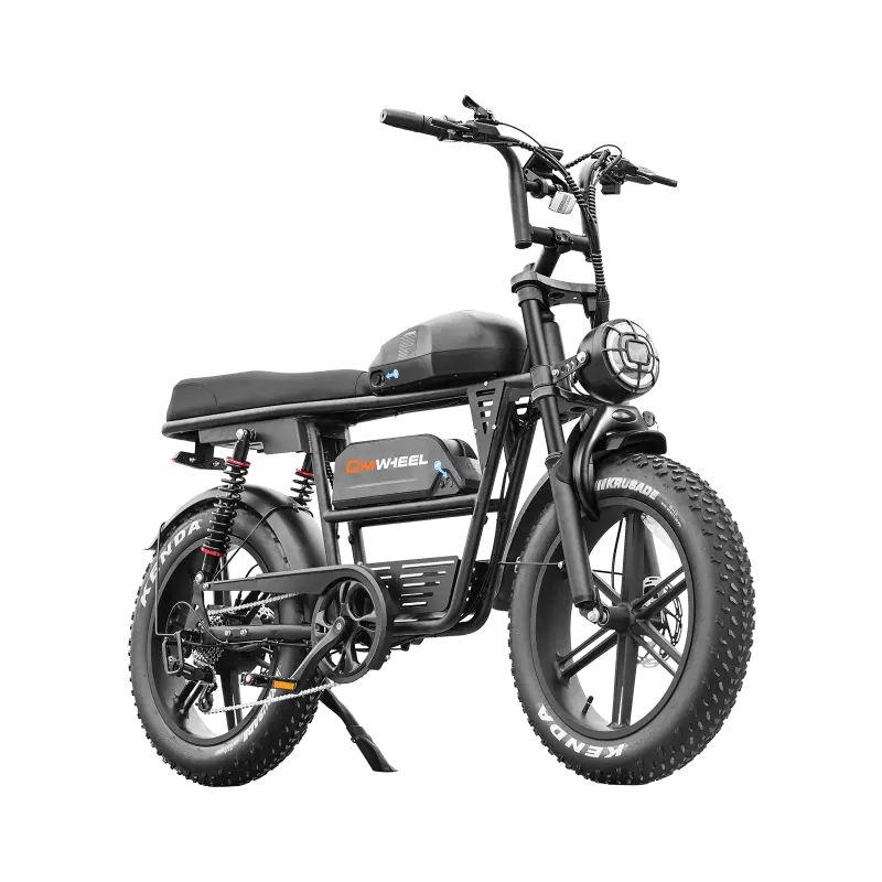 QMWHEEL EB30 - Dual Battery Cargo Fat Tire Electric Bike 100km
