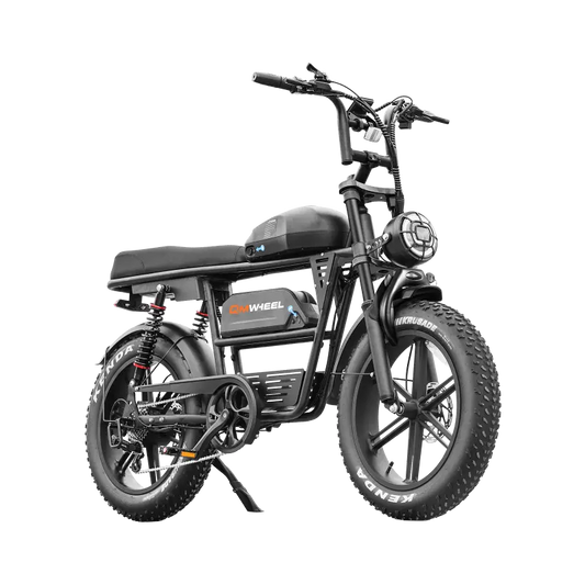 QMWHEEL EB30 - Dual Battery Cargo Fat Tire Electric Bike 100km
