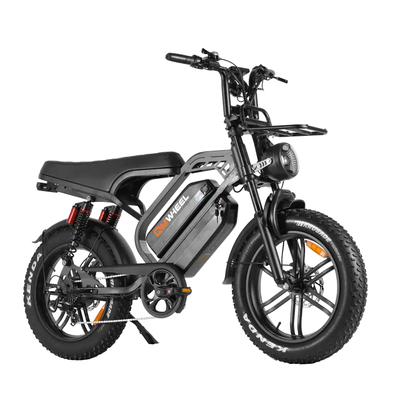 QMWHEEL V20LimitedPro - Dual Battery Fat Tire Electric Bike 80km