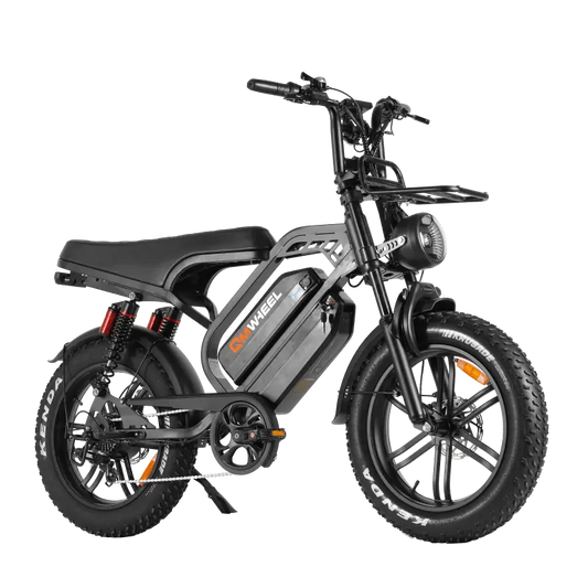 QMWHEEL V20LimitedPro - Dual Battery Fat Tire Electric Bike 80km