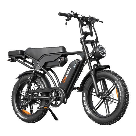 QMWHEEL V29Pro Electric Bike 20" Fat Tire Dual Suspension Commuter E-Bike with Dual Battery