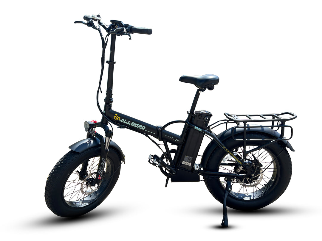 Allegro TDL6125 Electric Bike