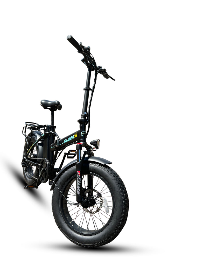 Allegro TDL6125 Electric Bike