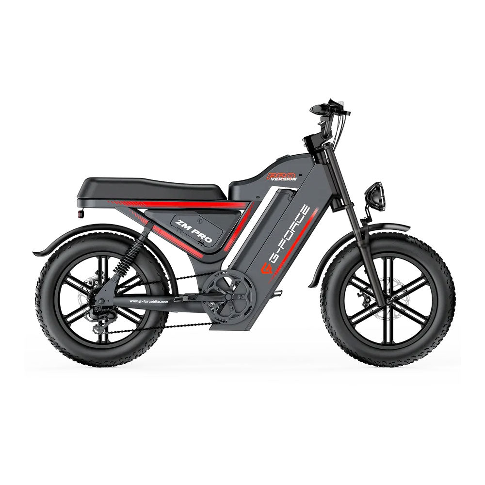 ZM Pro