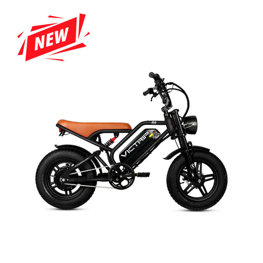 R6