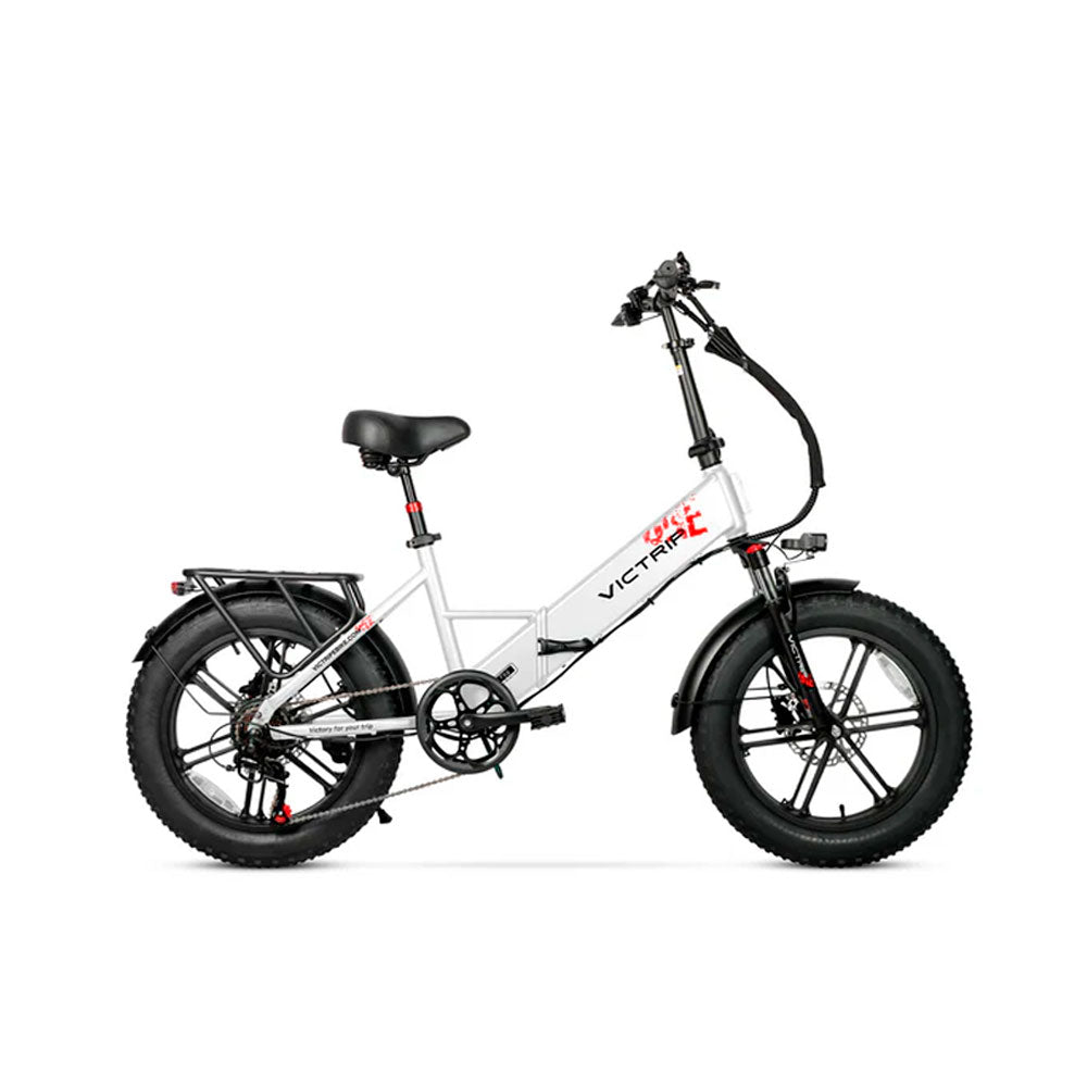 VICTRIP T5S