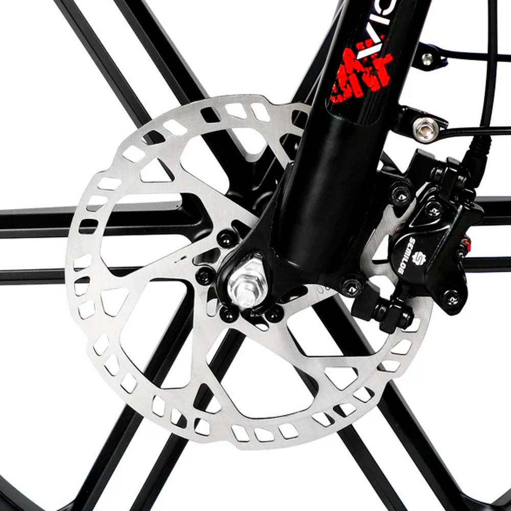 VICTRIP T5S
