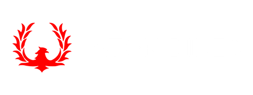 ATON ELECTRIC BIKES