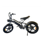 Load image into Gallery viewer, Allegro TDL003  Electric Fat Tire Bike
